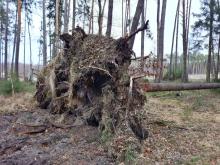 UWAGA! Szkody od wiatrów