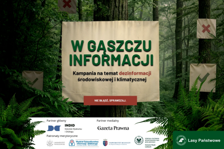 W gąszczu informacji