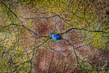 Światowy Dzień Mokradeł 2026