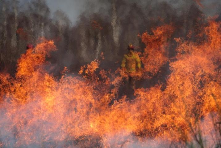 Pożar (Fot. Kacper Borkowski)